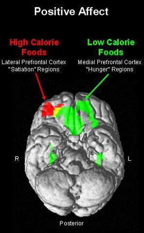 2007 02 26 13 13 38 706