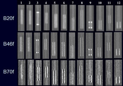 2007 03 11 09 55 29 706