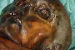 2007 07 03 15 48 55 706