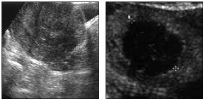 2007 11 19 15 38 14 706