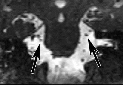 2007 12 21 17 06 14 706