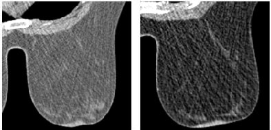 2008 06 18 21 10 42 28 2008 06 18 Figure2b