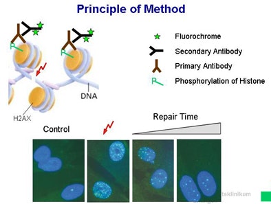 2009 04 27 11 44 39 270 Schwab principle
