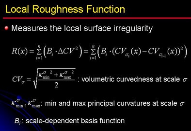 2009 07 28 11 21 16 8 Yoshida localroughness middle
