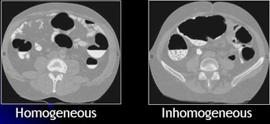 2009 07 28 11 21 19 225 Yoshida inhomogeneous tagging
