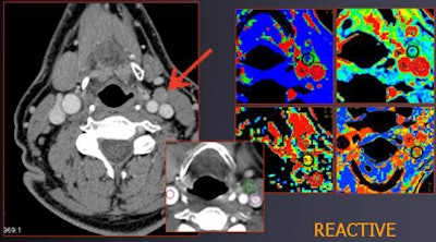 2010 01 22 15 05 42 328 Trojanowska case2