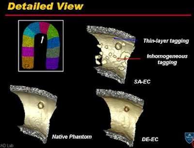 2010 07 15 11 02 05 37 Yoshida qualitative bottom