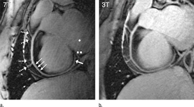 2010 10 19 11 03 23 133 26 Year Old Mr Images 394