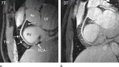 2010 10 19 11 03 27 977 18 Yr Old Mr Images 394