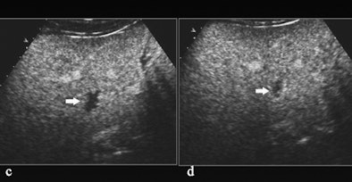 2011 01 24 12 00 43 423 Quaia C And D 394