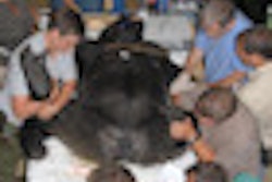 2011 08 29 10 26 51 167 2011 08 30 Wfumb3 Thumb