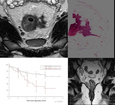 2012 03 01 16 51 27 487 Emvi 450