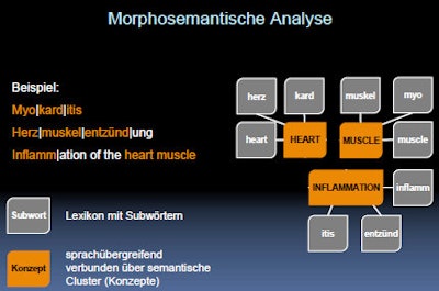 Words can be stemmed and analyzed intelligently, according to RadMiner's developers. All images courtesy of Dr. Elmar Kotter.