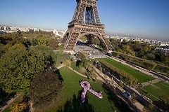 In Paris, more than 350 GE France employees and customers -- all dressed in pink T-shirts and caps -- gathered in the Champs de Mars in the shadow of the Eiffel Tower to form their own human pink ribbon.
