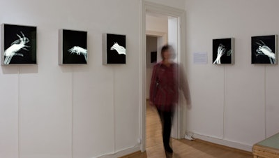 Shadow play series. © Marc Ferrante.