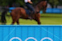 2012 12 19 12 02 17 521 2012 12 19 Equine Thumb