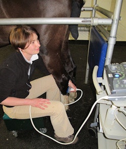 Sarah Boys-Smith helped look after the health and welfare of horses competing in the equine events at the 2012 Summer Olympics in London.