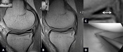 2012 12 27 15 30 52 567 Barile2 28dec12 450