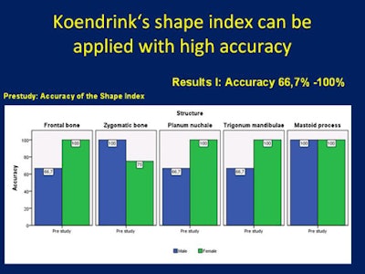 Prestudy shape index. All images courtesy of Dr. Alexander Vlcek.