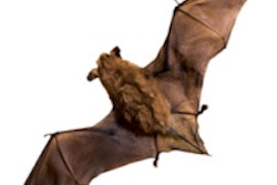 2013 09 16 16 51 03 419 Bat 200