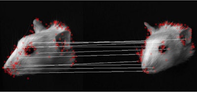 The SIFT algorithm detects a large number of features in an image and matches these to corresponding features within different images.