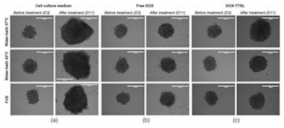 Growth of 3D cell cultures