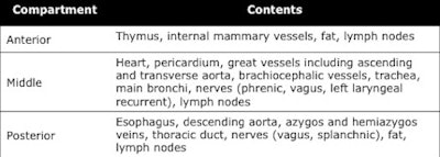 Contents of the mediastinal compartments. Source: Dr. Henrique Donato, Faculty of Medicine of Coimbra, Portugal, presented at ECR 2014.