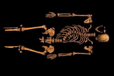 The skeleton of Richard III was discovered in a car park in 2012.