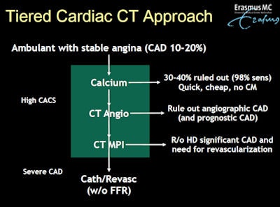 The tiered approach. All images courtesy of Dr. Koen Nieman.