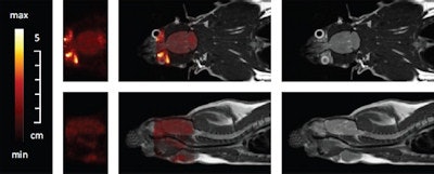 Simultaneous PET/MR measurement of a rat brain with about 5 MBq FDG. Coronal slices (top) and sagittal slices (bottom). PET only (left), fused PET/MR (middle) and MR images (right).