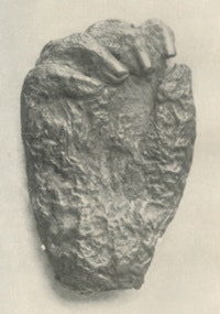Mummy hand