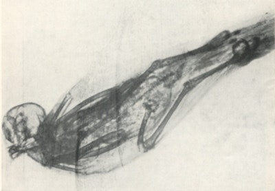 Mummy bird from an Egyptian tomb, taken by Charles Thurstan Holland on 22 October 1896.
