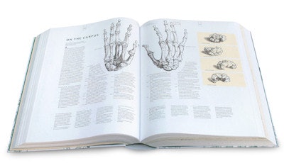Inside the book.