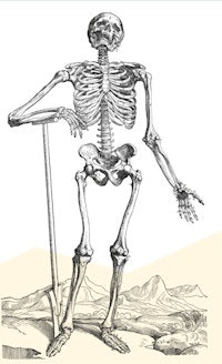 Illustrations