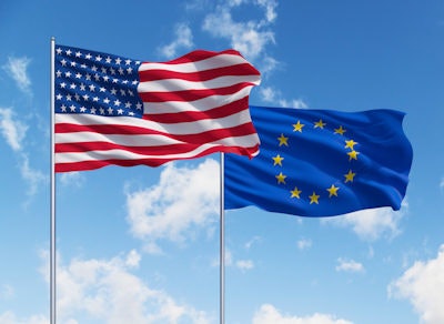 The ACR and ESR have issued white papers on teleradiology.