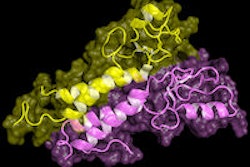 2015 03 24 10 21 21 770 Brca1 Protein 200