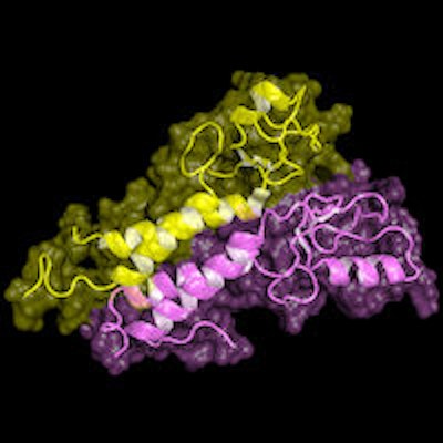 2015 03 24 10 21 21 770 Brca1 Protein 200