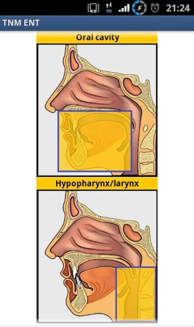 Screen capture of the Head and Neck TNM Calculator.