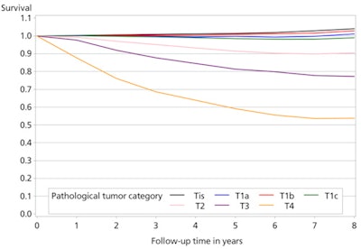This graph gives the relative survival (compared with survival of women of the same ages in the Dutch population without breast cancer) of the most recent cohort. The lines stand for different tumor stages. Relative survival for all tumors up to 1 cm was 100%, thereafter survival decreases with increasing size. Tis = ductal carcinoma in situ, a premalignant lesion; T1a cancer 1-5 mm; T1b 5-10 mm; T1c 10-20 mm; T2 20-50 mm (2-5 cm); T3 > 5 cm; T4 cancer growing into the skin or the musculus pectoralis. All figures courtesy of Dr. Madeleine Tilanus-Linthorst, PhD.