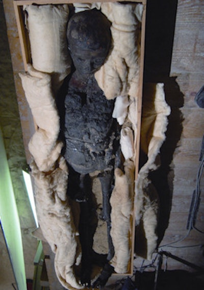 Tutankhamun remained in a wooden crate during the scans. Other than this, the CT exam was conducted as for a live patient, with the machine calculating radiation dose based on size and weight.