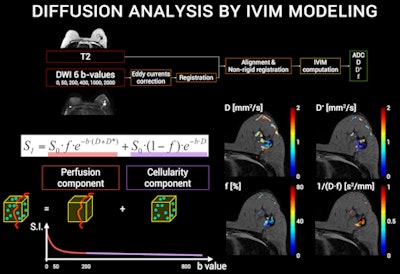 IVIM sequences can measure properties such as cellularity, perfusion, and vascular fraction, yielding qualitative and quantitative data. Images courtesy of Dr. Luis Martí-Bonmatí, PhD.