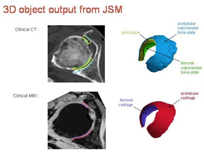3D object output from joint space mapping.