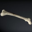 2016 09 13 08 20 12 399 2016 09 13 3 D Bone Thumb