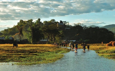 The Sambirano Valley is rife with bilharzia.