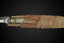 2016 11 16 10 21 59 995 2016 11 16 Crocodile