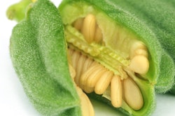 2016 12 16 09 20 01 260 Food Sesame Pod 400