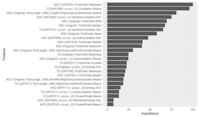 2017 05 24 09 29 39 840 2017 05 24 Bonekamp Feature Importance 800