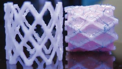 A 3D-printed biodegradable stent for tissue-engineered heart valves, republished with permission of 3D Printing and Additive Manufacturing. Photo by Dr. B. Sanders and Dr. M.S. Cabrera, Eindhoven University of Technology.