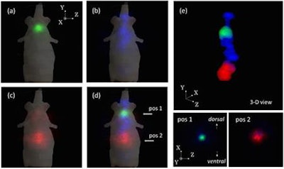 Representative 2D slice in the Z-Y plane of a 3D image of a mouse: (a) I-131, (b) Sr-85, (c) Zn-65, and (d) fused images of all three tracers and (e) the 3D image and the tomographic images of the fused image in the Z-X plane at the two indicated positions. Images courtesy of Waseda University.