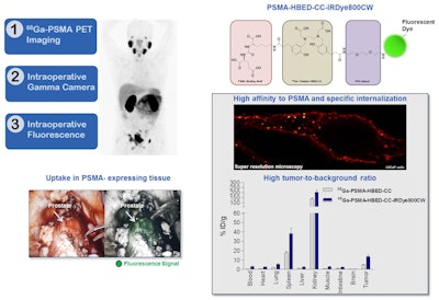 2017 06 14 11 04 14 541 Snmmi 2017 Image Of The Year 2017 800